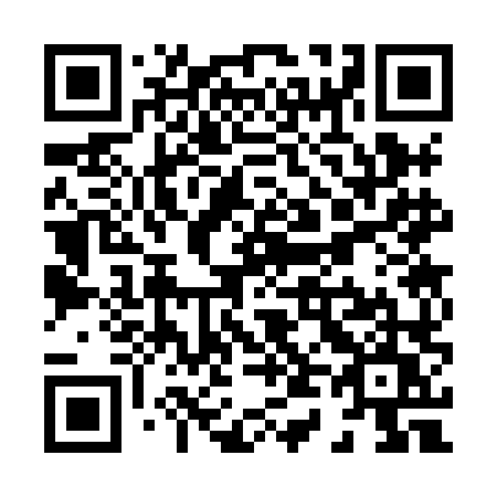 QR code for X438LU