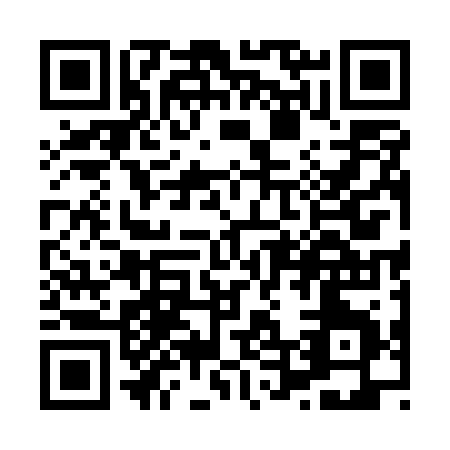 QR code for X455R
