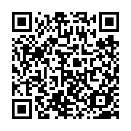 QR code for plate X45 6PM
