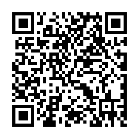 QR code for X46 1FS