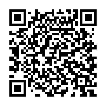 QR code for X46 2LP
