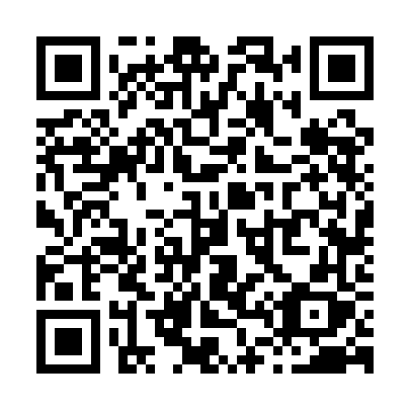 QR code for X461FX
