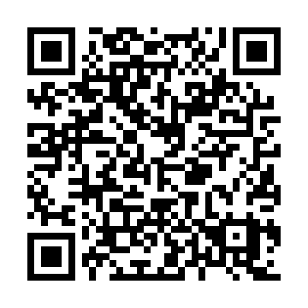 QR code for plate X46 1PY