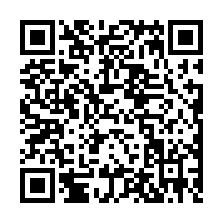 QR code for X463H