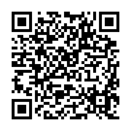 QR code for X463L