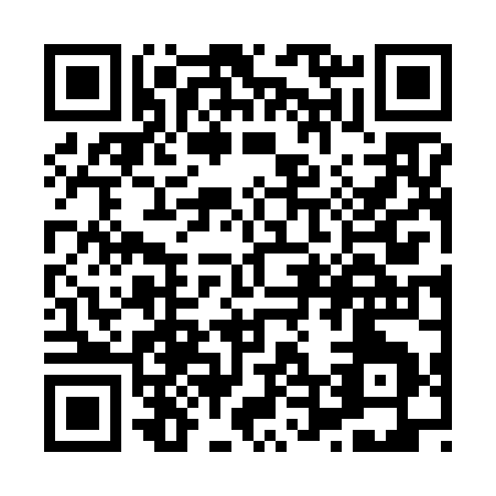 QR code for X466K