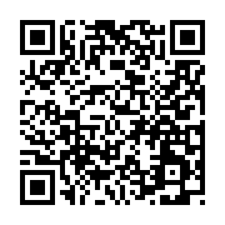 QR code for X466L