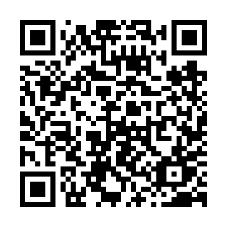 QR code for plate X46 6PT