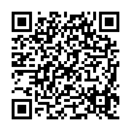 QR code for X491K