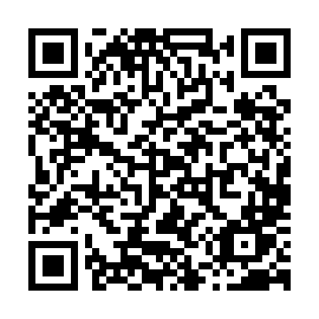 QR code for X501LT