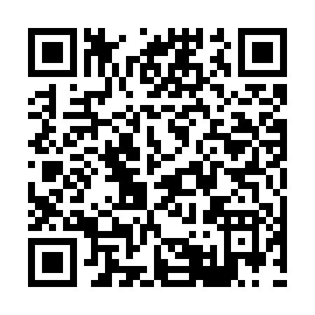 QR code for X517P