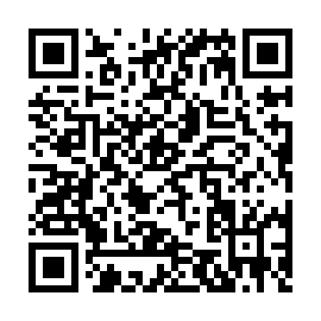 QR code for X519M