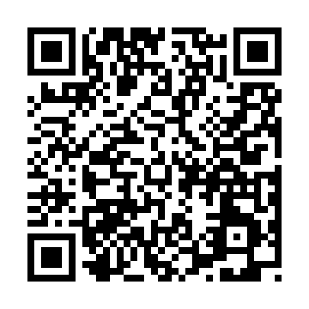 QR code for X529T