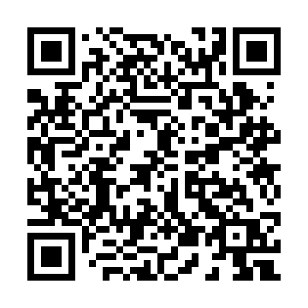 QR code for plate X53 2CR