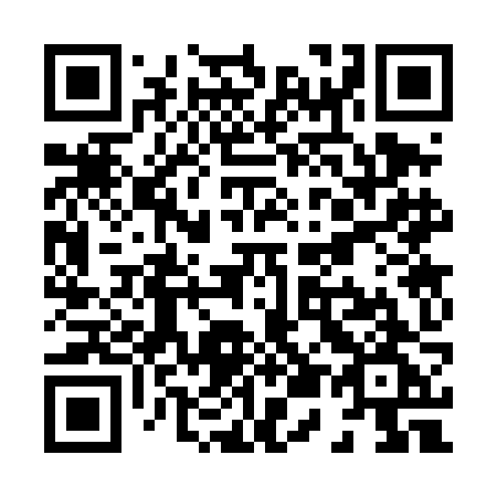 QR code for plate X53 4JG