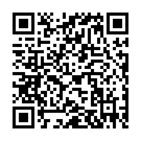 QR code for X541F