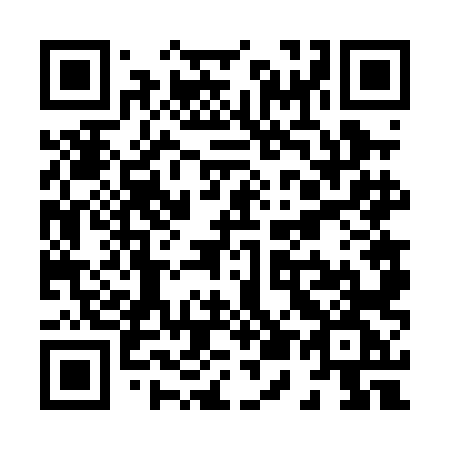 QR code for plate X56 0LG