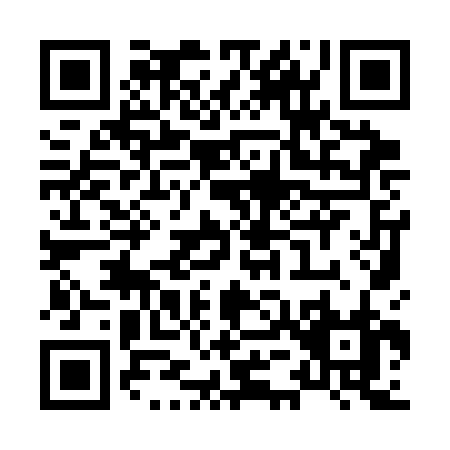 QR code for X593B
