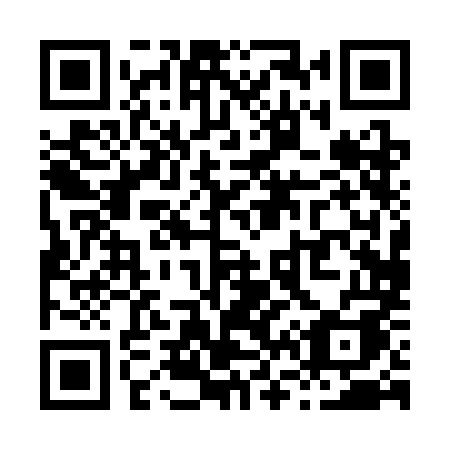 QR code for X603MA