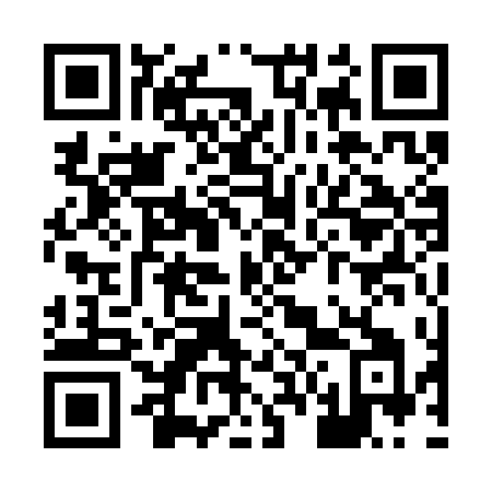 QR code for X613DI