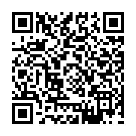 QR code for X619P