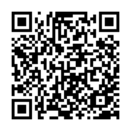 QR code for plate X63 1HW