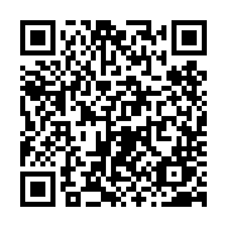 QR code for plate X63 4NT