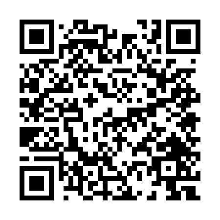 QR code for X650T
