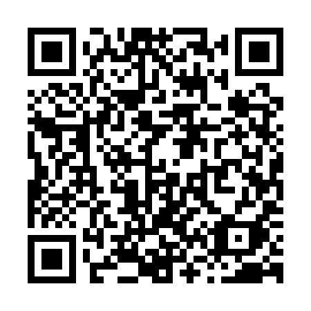 QR code for plate X65 1YI