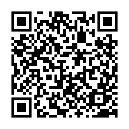 QR code for plate X65 3ER