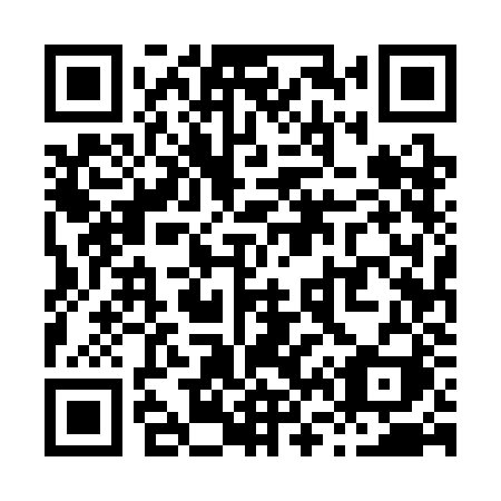 QR code for plate X65 3JI