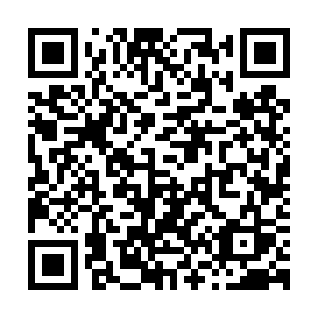 QR code for X66 4SS