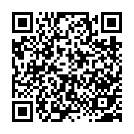 QR code for X666A