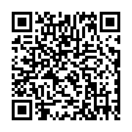 QR code for X666V