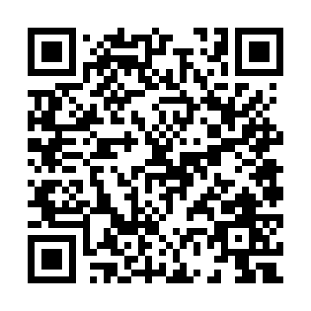 QR code for X666W