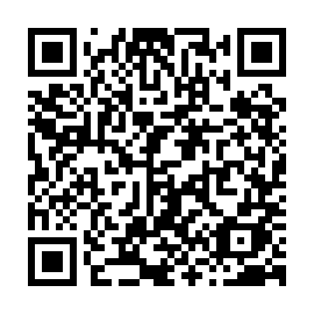 QR code for plate X67 1MH