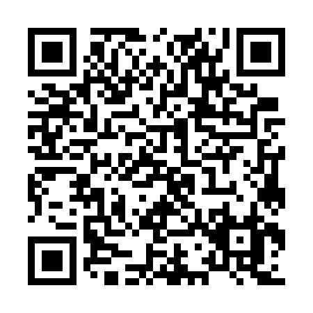 QR code for X777Z