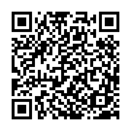 QR code for X80 0FS