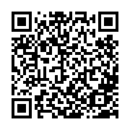 QR code for X80 4LR