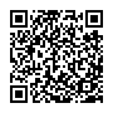 QR code for plate X80 6TP