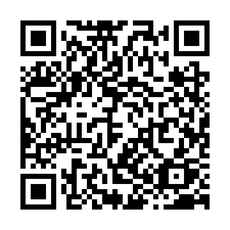 QR code for plate X81 3SP