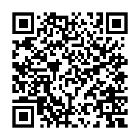 QR code for X816O