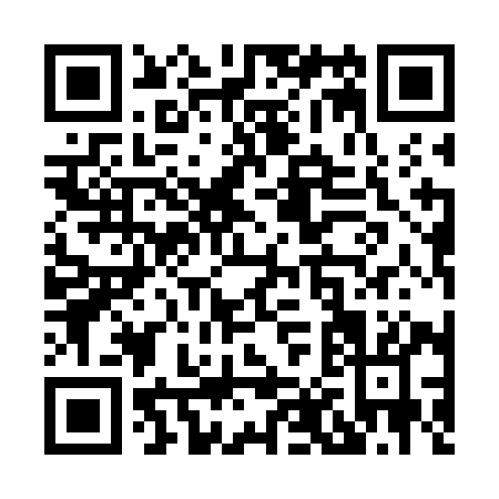 QR code for X817I