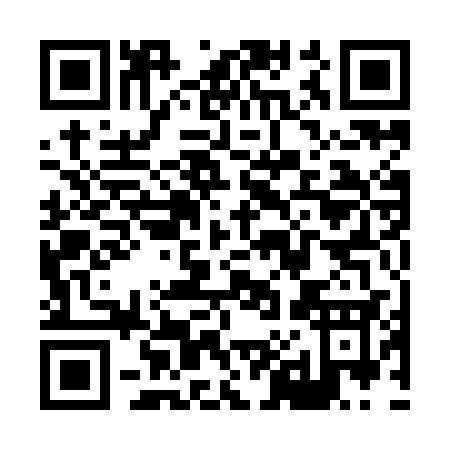 QR code for X819C
