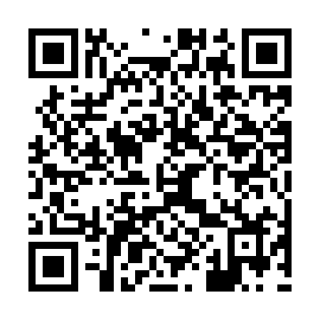 QR code for X819IZ