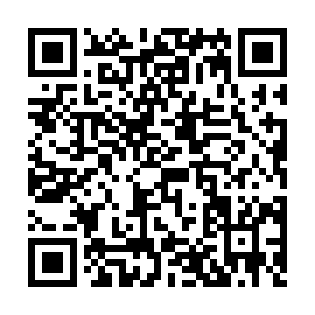 QR code for X853I