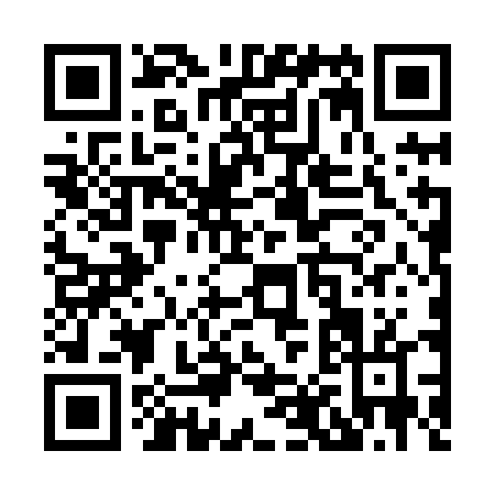 QR code for X868D