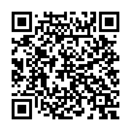 QR code for plate X87 0RS