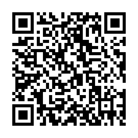 QR code for X895P