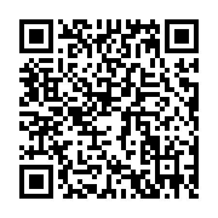 QR code for X901Z